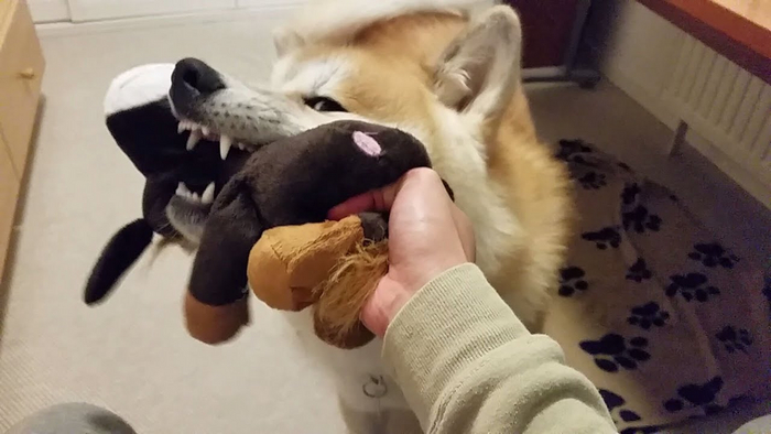 Ты следующий!