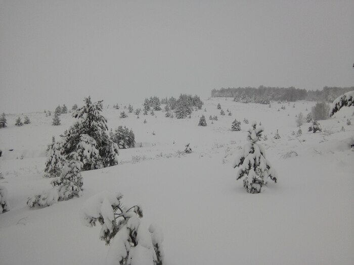 Снег, сугробы, почти на верху.