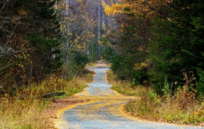 Post of autumn photos - My, The photo, Canon, Beginning photographer, Autumn, Nature, Landscape, Field, Forest, Snow, Abandoned, Photomanipulation, Longpost