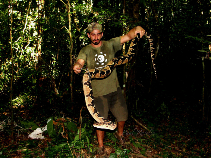 Когда сварил спагетти целиком, а не стал ломать на мелкие соломинки.