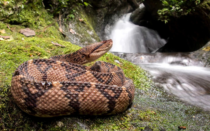 Зачем ссориться или ругаться, когда можно просто спокойно лежать на берегу реки и наслаждаться бесконечно-вечным?