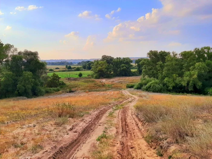 Road - My, The photo, Nature, Landscape, Summer, Road