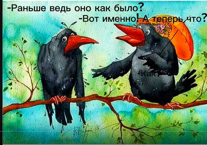 ,   ? ,   ,   ,   