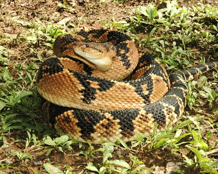 Свернулся в кучку, лишь бы ни с кем не ругаться.