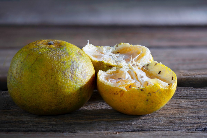 Фото красивое, ситуация не очень...