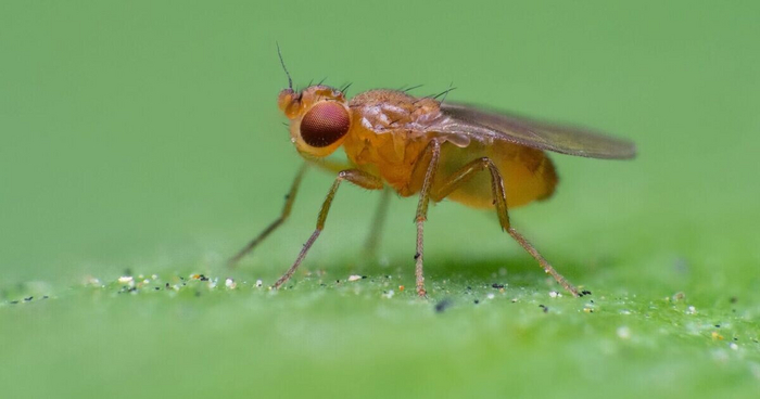 Ни капли раскаяния и стыда на лице!