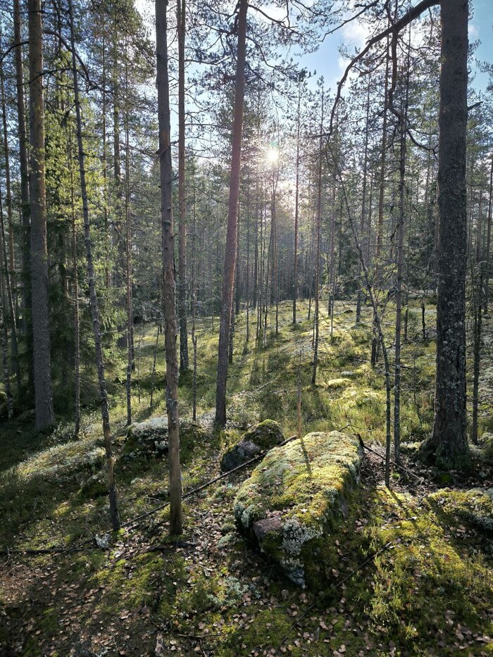 ������� ���������� �������