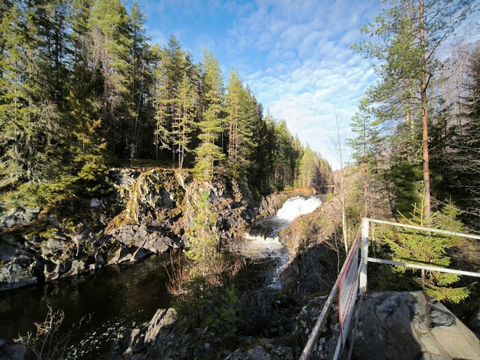 ������� ���������� �������