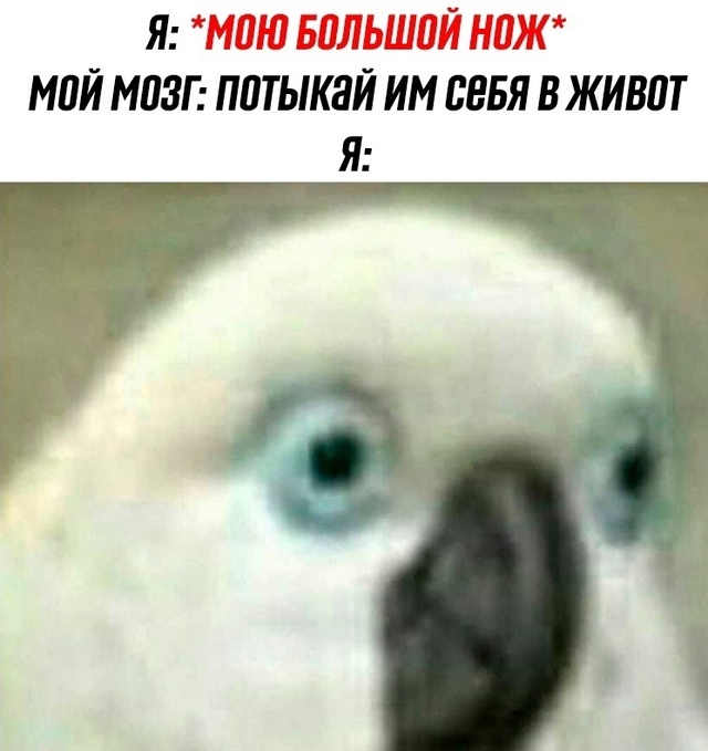 ? ,   , 