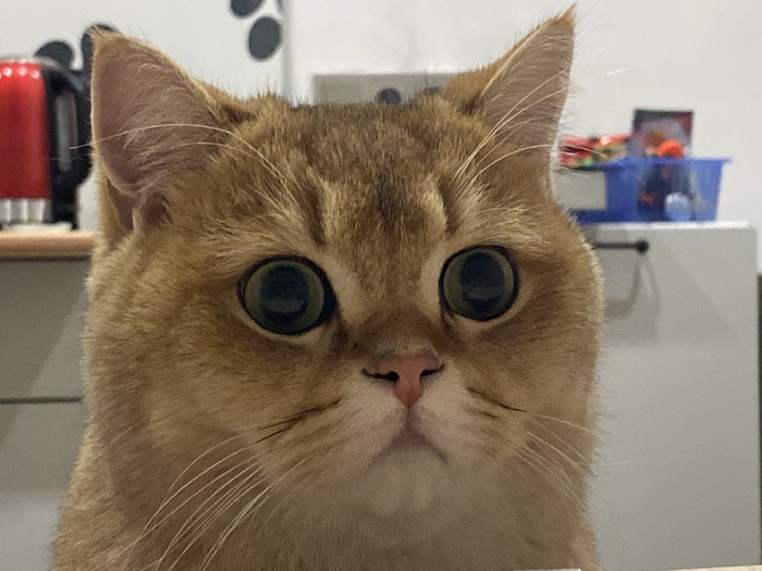    , ,   , , , 