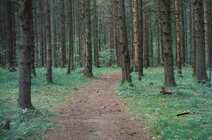 �������� 1/60, ��������� 2.8, ISO 200