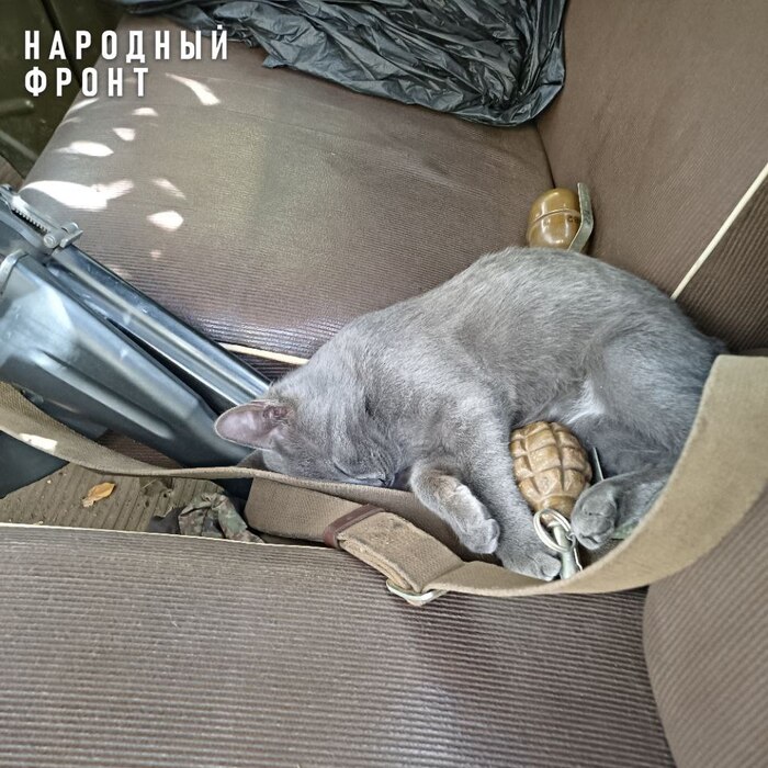 "Сейчас чуть-чуть отдохну и на штурм!"