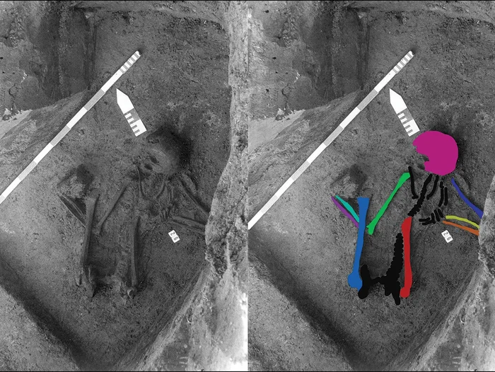 A skeleton found in an ancient cemetery was found to be made up of the bones of at least seven people who lived over a period of 2,500 years. What could this mean? - My, Archeology, Nauchpop, Longpost