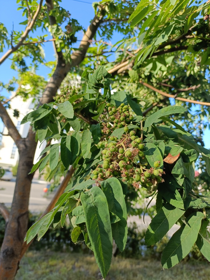 ��� �� ������