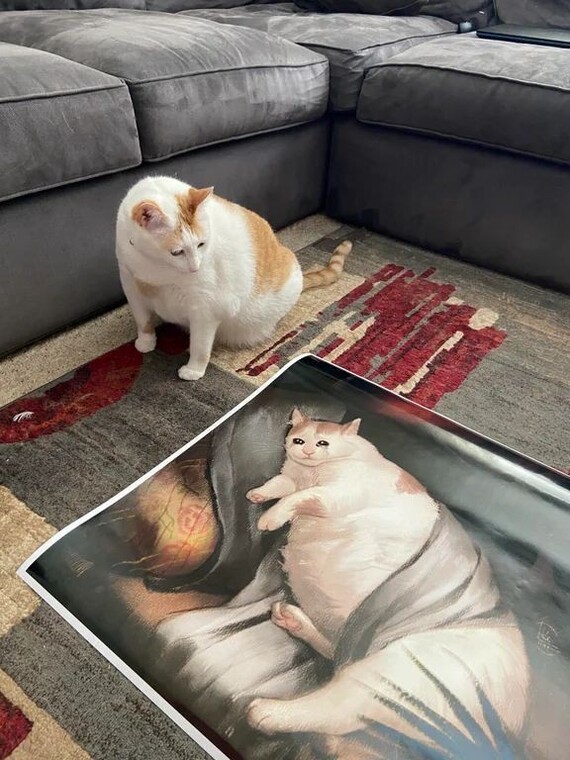   ... , , ,  ,  , , , , 