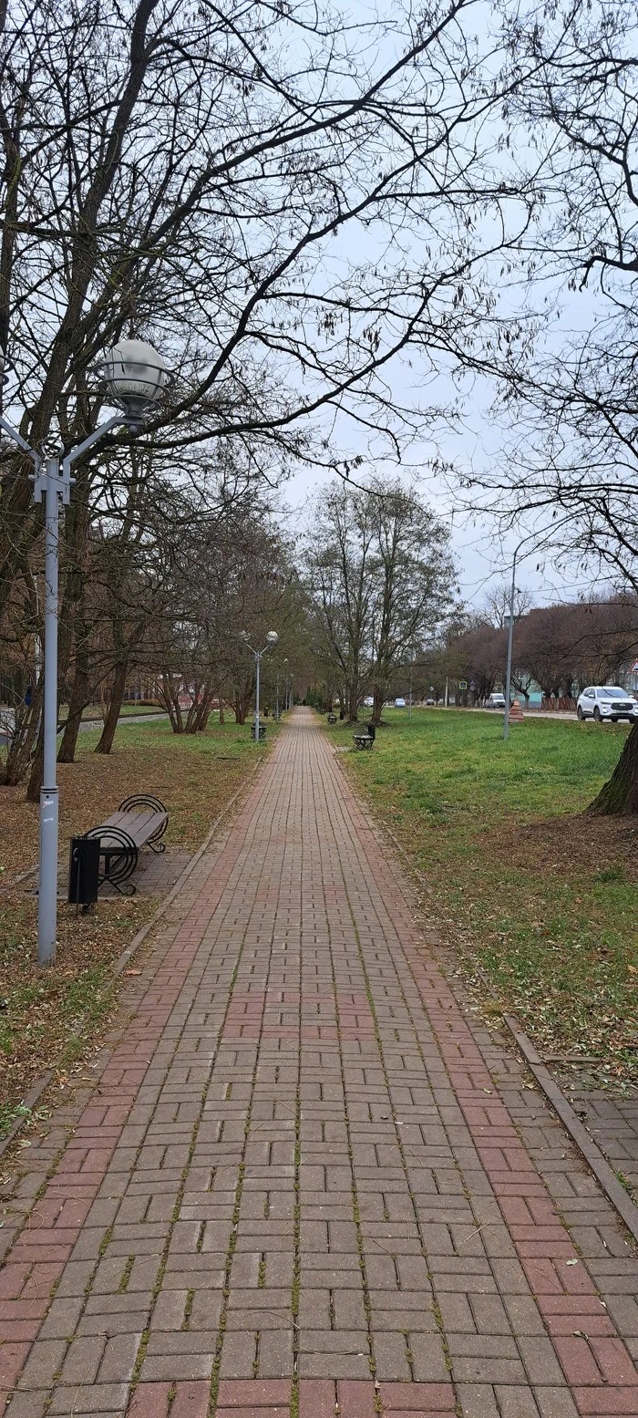 Alley - My, Alley, Autumn, Photo on sneaker, The photo, Beautiful view, The park, Beginning photographer, Street photography, Mobile photography, Longpost