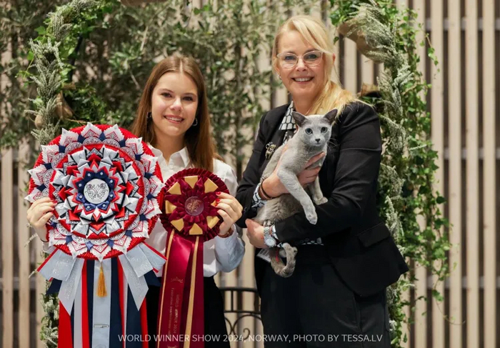 Победитель мира 2024