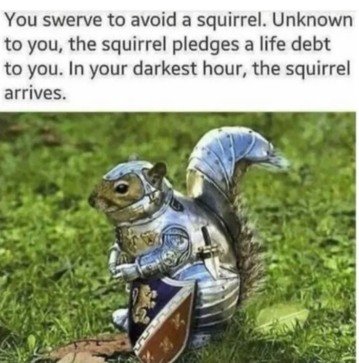 Salvation - Squirrel, Duty, Arrival, Knights, Armor, Picture with text