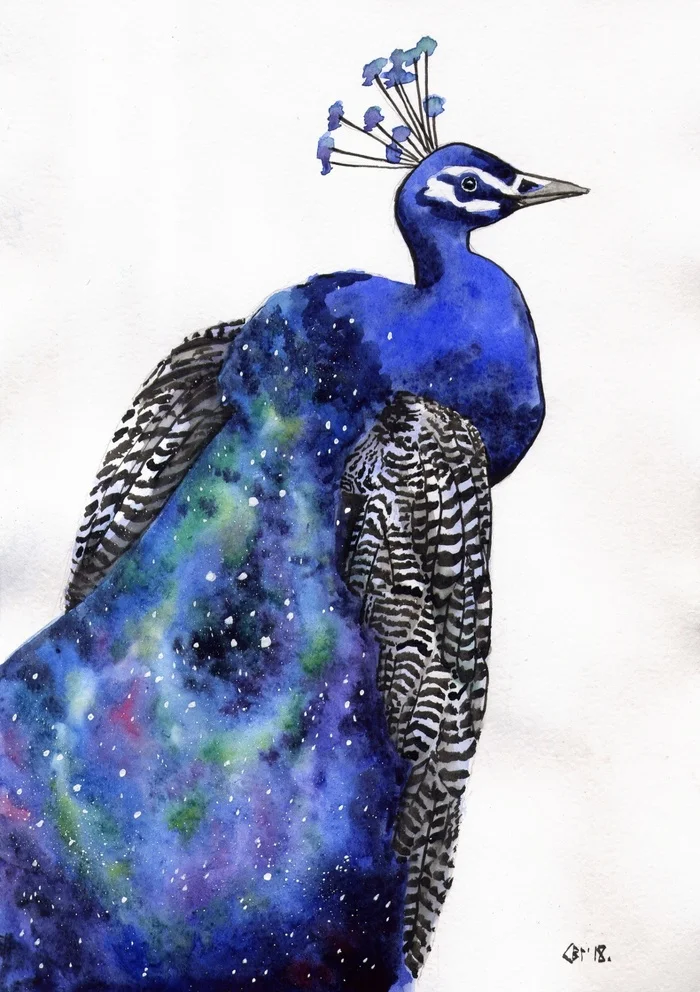 Galactic Peacock - My, Watercolor, Drawing, Traditional art, Animalistics, Peacock, Exhibition, Art, Modern Art, Birds, Space, Video, Vertical video, Longpost