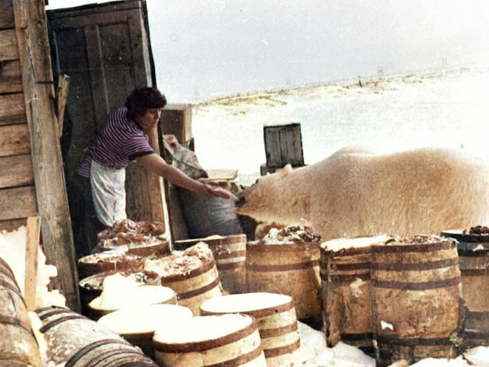 Подборка простых и потрясающих фотографий эпохи СССР. 20 раскрашенных фотографий, Часть XIV Старое фото, Историческое фото, Фотография, СССР, Детство в СССР, Сделано в СССР, 60-е, 70-е, 50-е, 80-е, Колоризация, Длиннопост