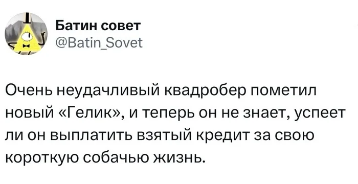 Мало времени - Twitter, Скриншот, Картинка с текстом, Квадроберы