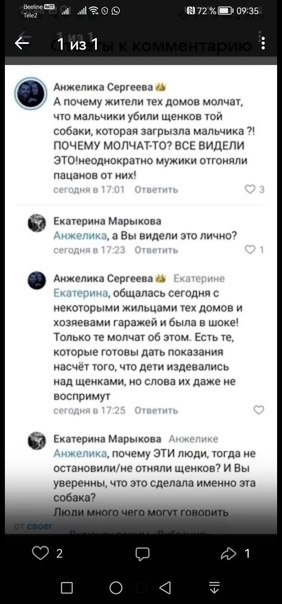 Response to the post Another slander from an animal rights activist about children mauled by dogs - Radical animal protection, Stray dogs, Dog attack, Animal defenders, Slander, classmates, Negative, Dog, Reply to post, VKontakte (link), Longpost, Mat