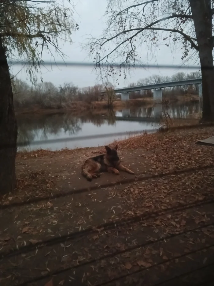 And again for the past summer - My, Road trip, Nature, Astrakhan Region, Longpost, Road, Fishing, Video