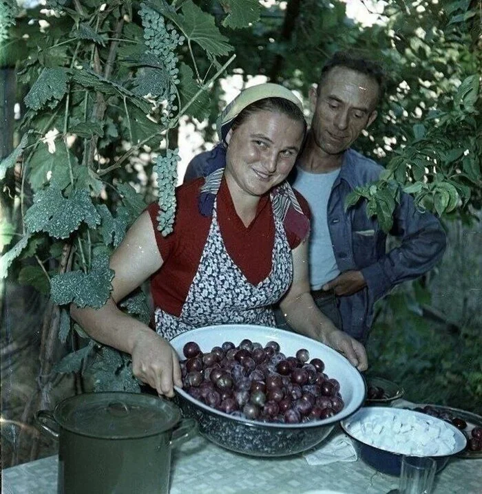 In the garden - the USSR, Made in USSR, Childhood in the USSR, Youth, Youth, Nostalgia, The photo, Old photo, Girls, Men and women, Wife, Husband, Garden, 50th, Telegram (link)