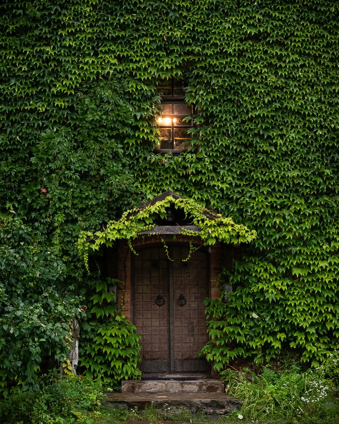 Door - Door, House, The photo