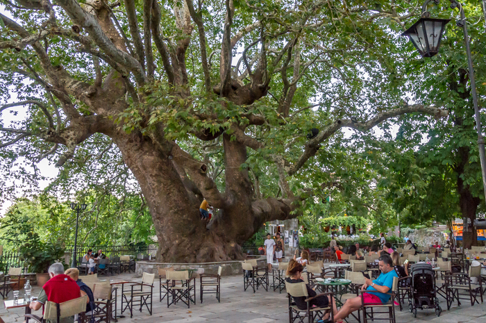      ""    -  ... ,    :      -         .