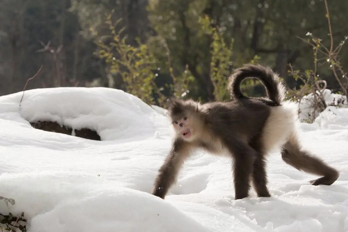 После баньки, да в снежок!