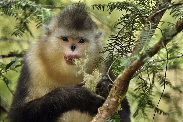 Первый день на диете всегда ощущается как-то так.