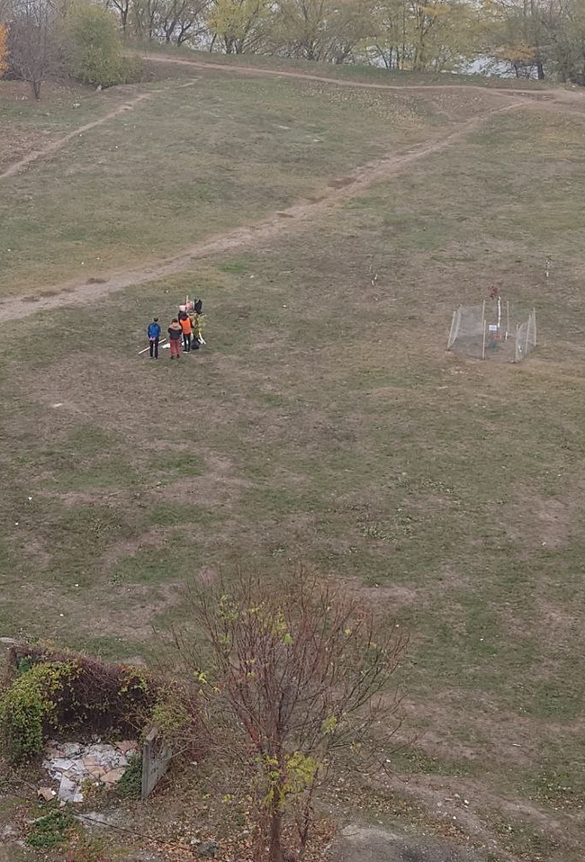 A clearing with trees was destroyed - My, Krasnodar, Let's save the trees, Vandalism, Tree, Green Zone, The park, Temple construction, Longpost, Negative