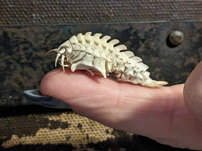 Когда мама впервые за месяц вывела тебя погулять на солнышко.