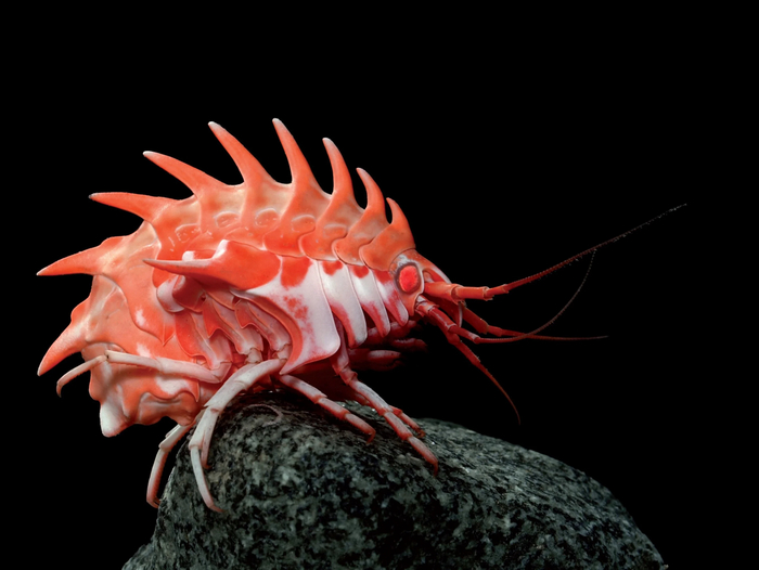 Чёрт, я специально для него красилась и ирокез ставила, а он даже не увидит этой красоты!