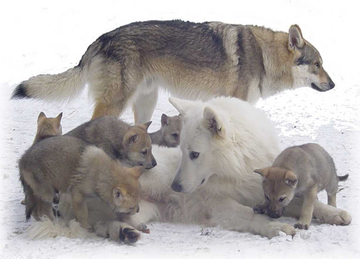 И это столько вас во мне было? Ужас!