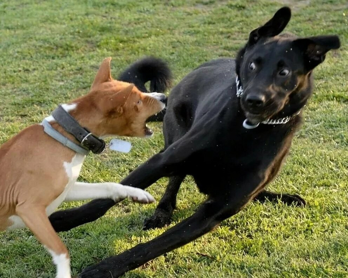 Та самая нежная девушка (слева) и её парень-арбузер и манипулятор (справа).