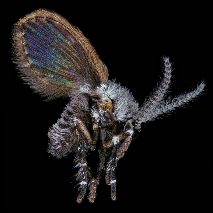 Я, может, и канализационная муха, но стиль для меня не пустой звук.