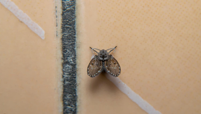 Чистая плитка, ровные швы, никаких протечек... Да здесь совершенно непригодные для жизни условия!