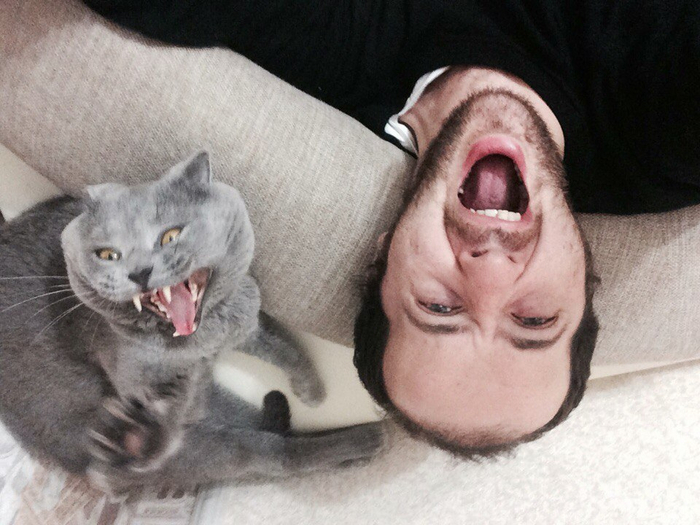 Когда нашел общий язык со своим человеком. Это язык ора.