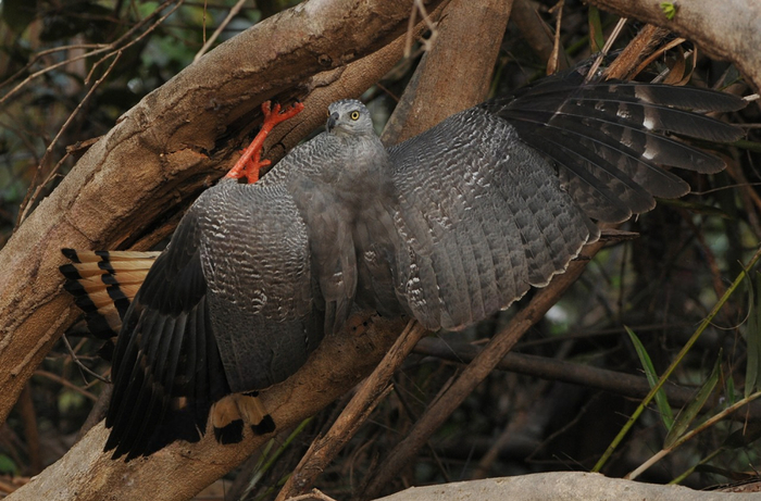 Да, мне так удобно. Вместо того, чтобы ржать и снимать, лучше бы помог!