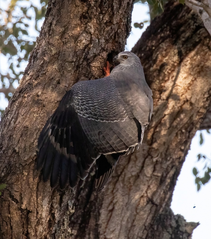 Когда первый раз зашёл в свой универ и понятия не имеешь где 321б аудитория.