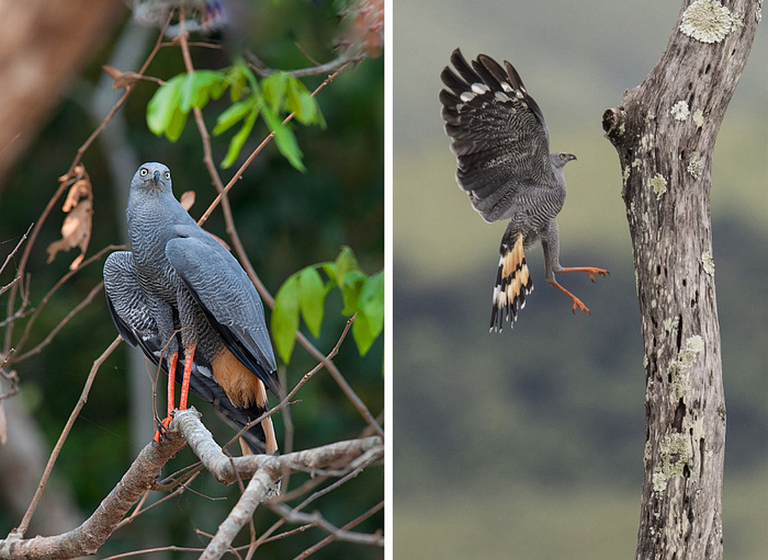 Кто не спрятался, я не виноват!