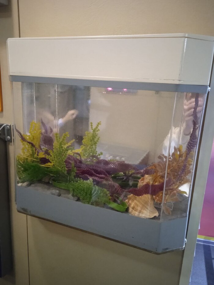   20 .  ,       ,     .