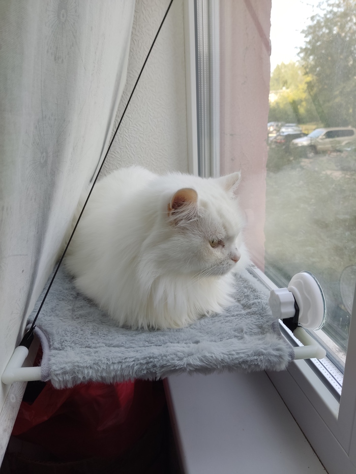 � ������� ���� ��� ������