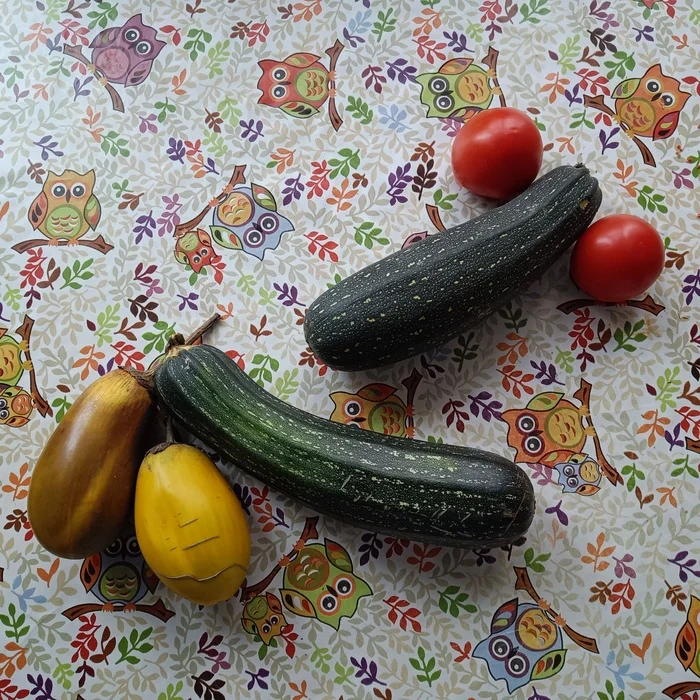 Harvest - My, The photo, Mobile photography, Vegetables, Zucchini, Eggplant, Tomatoes, Pareidolia, Humor, Strange humor, Harvest