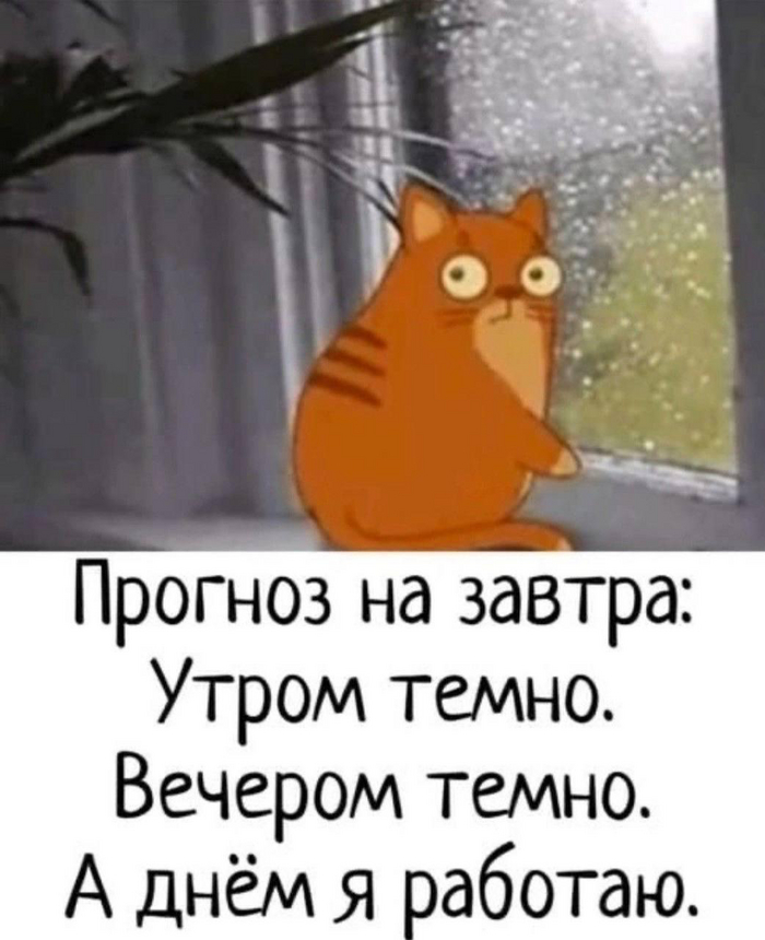 Прогноз погоды