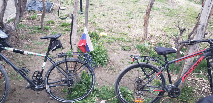 ���� ����������