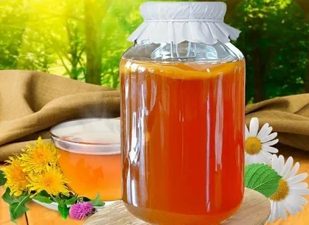 KOMBUCHA: HOW TO GROW, CARE FOR AND BREW - Beverages, Healthy lifestyle, Tea mushroom, Health