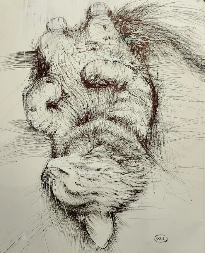 My Vasily - My, Drawing, Graphics, Pen drawing, Creation, cat, Animals, Sketch